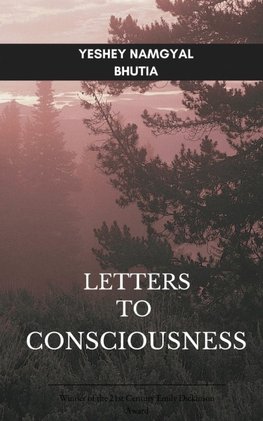 Letters To Consciousness
