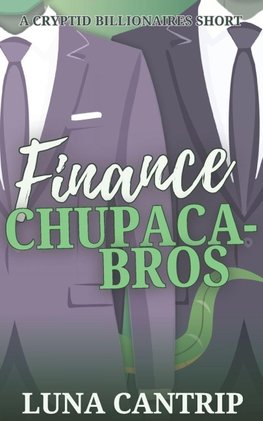 Finance Chupaca-bros