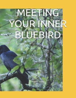 MEETING YOUR INNER BLUEBIRD