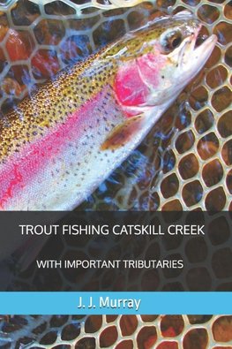 Trout Fishing Catskill Creek