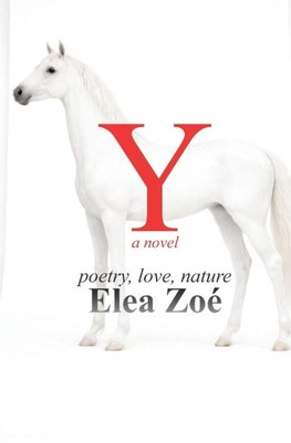 Y, a novel