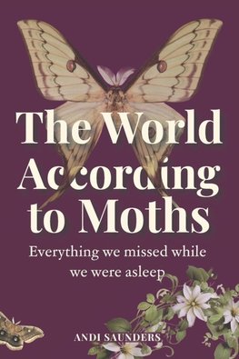 The World According to Moths