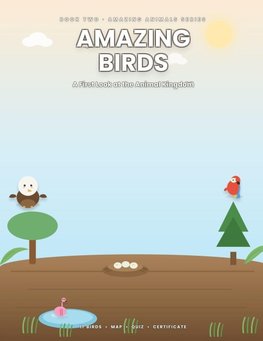 Amazing Birds