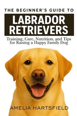The Beginner's Guide to Labrador Retrievers
