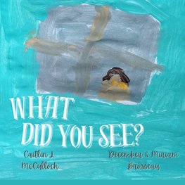 What Did You See?