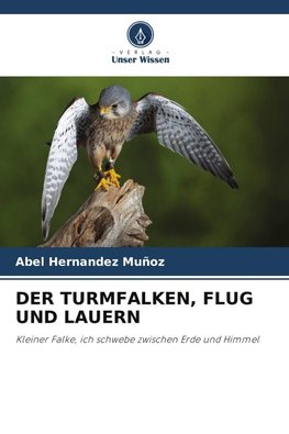 DER TURMFALKEN, FLUG UND LAUERN