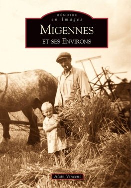 Migennes et ses environs
