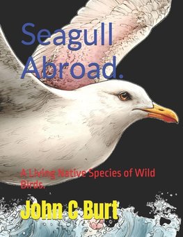 Seagull Abroad.