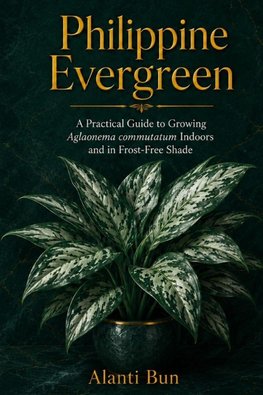 Philippine Evergreen