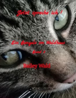 Jetzt spreche ich !
