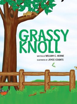 Grassy Knoll