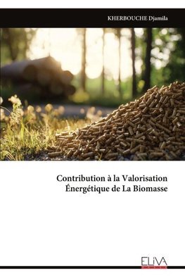 Contribution à la Valorisation  Énergétique de La Biomasse