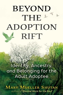 Beyond the Adoption Rift