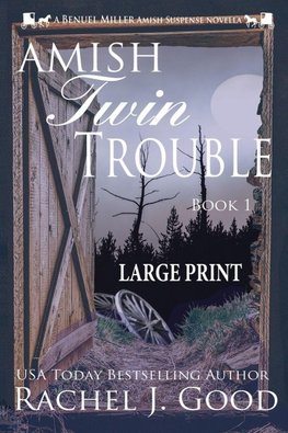 Twin Trouble - Large Print