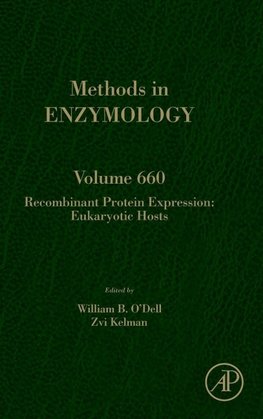 Recombinant Protein Expression