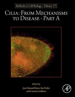 Cilia