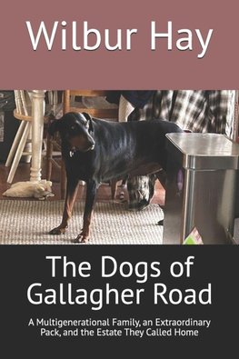 The Dogs of Gallagher Road