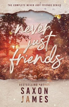 Never Just Friends Omnibus