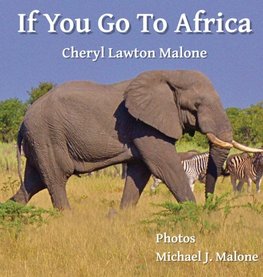 If You Go To Africa