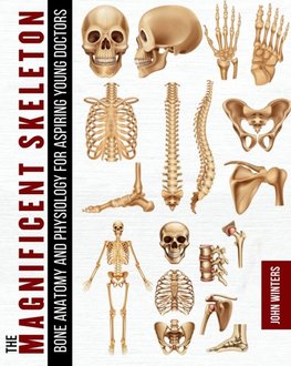The Magnificent Skeleton