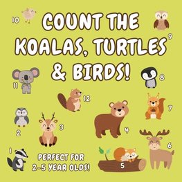 Count the Koalas, Turtles & Birds!