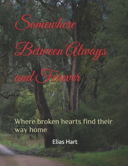 Somewhere Between Always and Forever