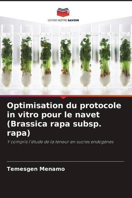 Optimisation du protocole in vitro pour le navet (Brassica rapa subsp. rapa)