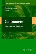 Centromere