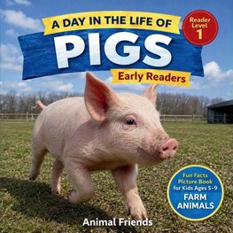 Pigs