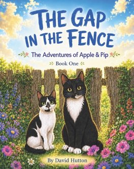 The Gap in the Fence