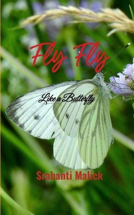 Fly Fly Like a Butterfly