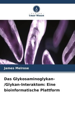 Das Glykosaminoglykan-/Glykan-Interaktom: Eine bioinformatische Plattform