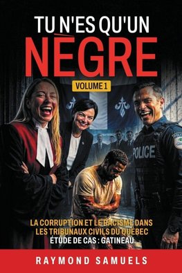 Tu n'es qu'un nègre