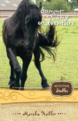 The Summer Camp Adventure