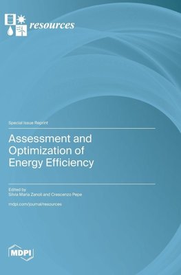 Assessment and Optimization of Energy Efficiency