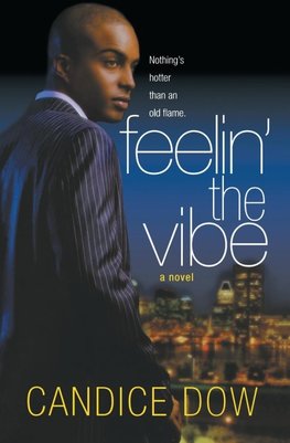 Feelin' the Vibe
