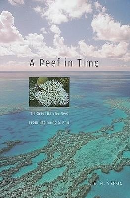 A Reef in Time