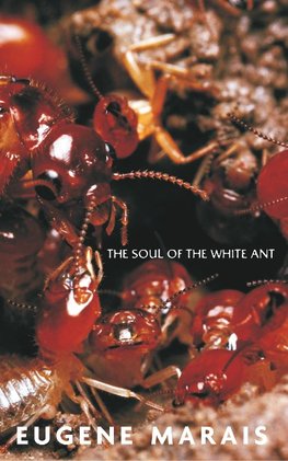 The Soul of the White Ant