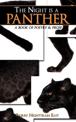 The Night is a Panther