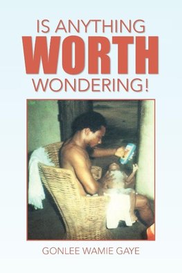Is Anything Worth Wondering!