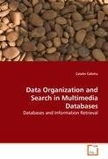 Data Organization and Search in Multimedia Databases