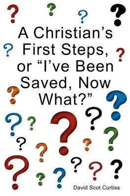 A Christian's First Steps, or "I've Been Saved, Now What?"