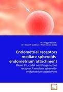 Endometrial receptors mediate spheroids-endometrium attachment