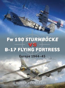FW 190 Sturmböcke Vs B-17 Flying Fortress