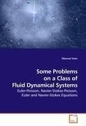 Some Problems on a Class of Fluid Dynamical Systems