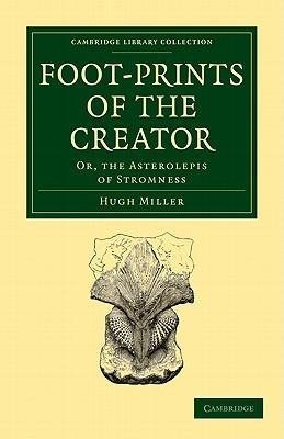 Foot-Prints of the Creator