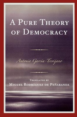 Pure Theory of Democracy