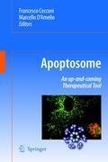 Apoptosome