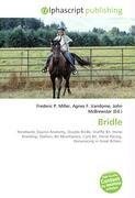 Bridle
