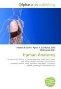 Human Anatomy